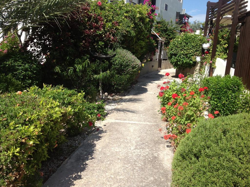 Paphos Townhouse 빌라 외부 사진